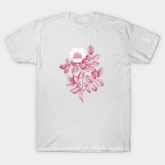 Wild Rose Monochrome Illustration T-Shirt by Biophilia